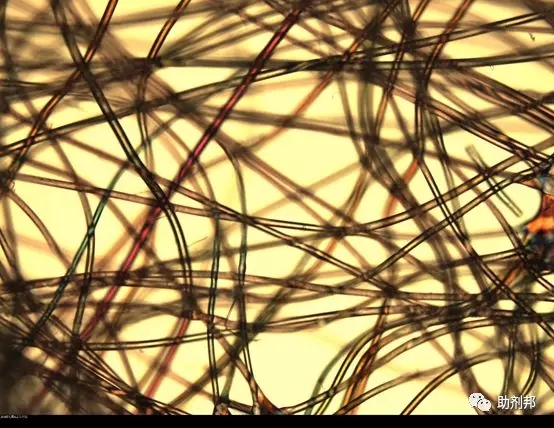 /ueditor/jsp/upload/image/20200302/1583115579855096681.jpg /ueditor/jsp/upload/image/20200302/1583115579855096681.jpg