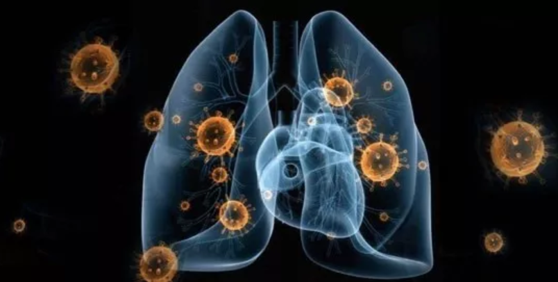 /ueditor/jsp/upload/image/20200203/1580690286809061844.png /ueditor/jsp/upload/image/20200203/1580690286809061844.png