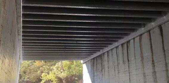 /ueditor/jsp/upload/image/20200109/1578538012011007713.jpg /ueditor/jsp/upload/image/20200109/1578538012011007713.jpg